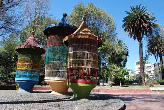 Museo Casa Carranza